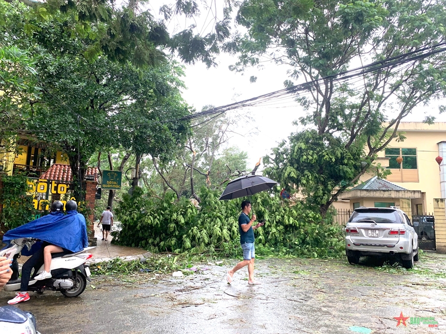 View - 	Hà Nội tập trung dọn dẹp cây xanh ngã đổ, khai thông tuyến phố